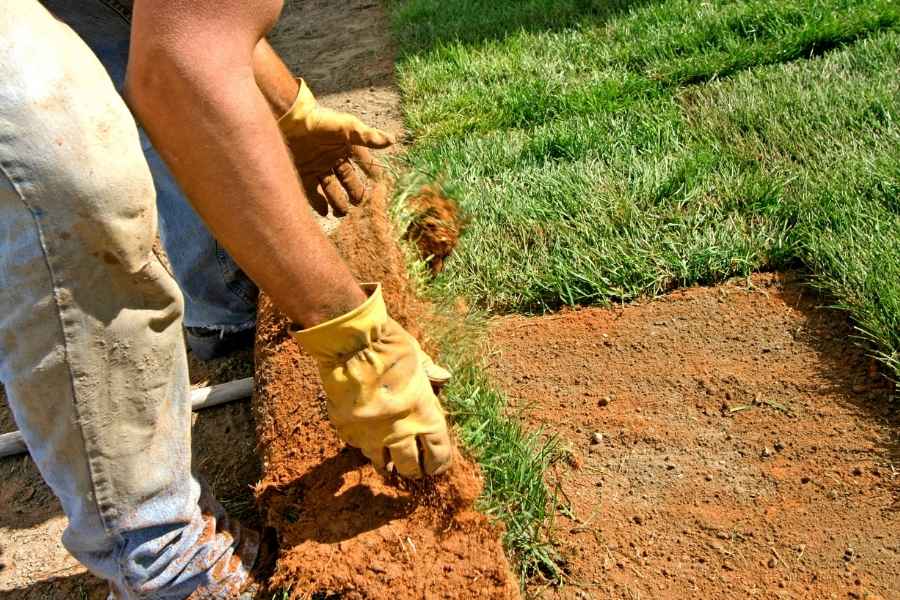Un jardinier installe des rouleaux de gazon dans le cadre de la TVA des travaux paysagers.